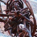 Rusty Wire by grammyn