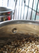 22nd Oct 2011 - Reflective Food Bowl