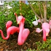 A Flock of Flamingos by allie912