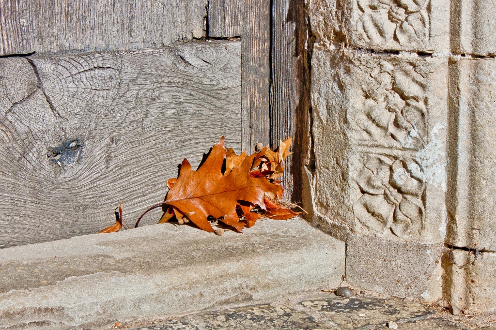 Autumn is knocking .. Don't let it in. by edpartridge