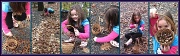 22nd Oct 2011 - Acorn Collecting