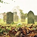 Autumn Leaves and Gravestones  by andycoleborn