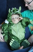 22nd Oct 2011 - Tired dragon