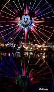 22nd Oct 2011 - World of Color