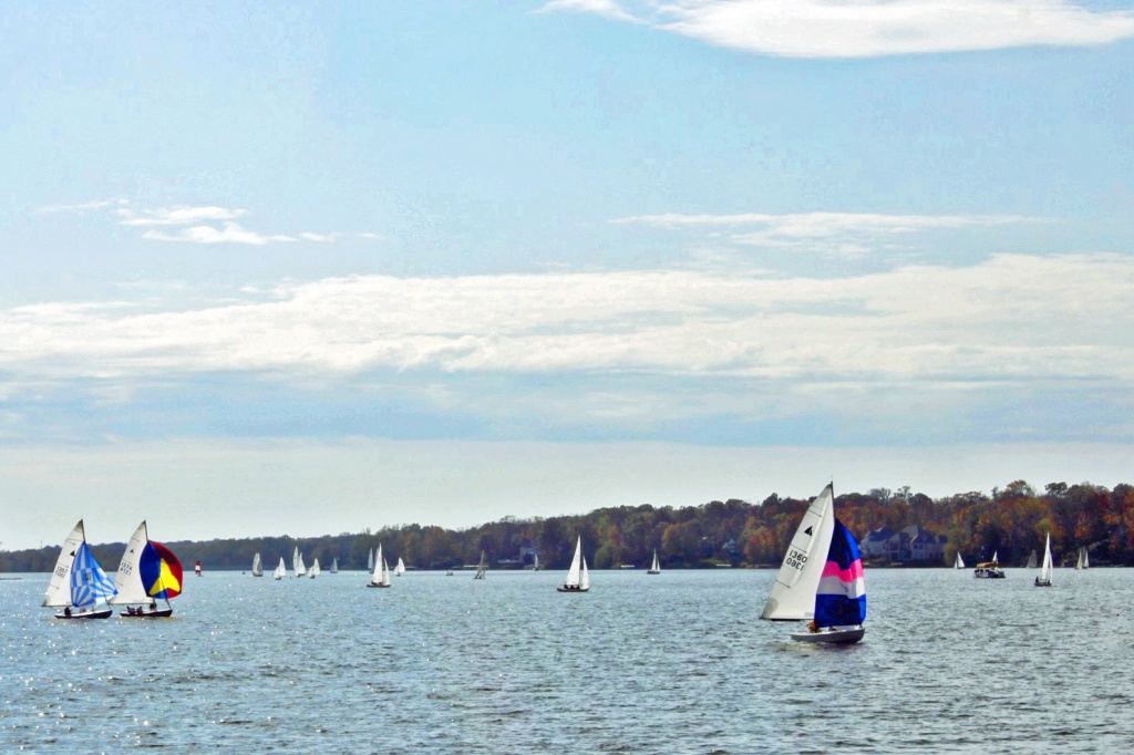 Sailboat Race by lisabell