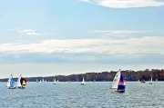 23rd Oct 2011 - Sailboat Race