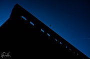 23rd Oct 2011 - Sneinton silhouette