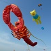 Suffolk kite flyers by karendalling