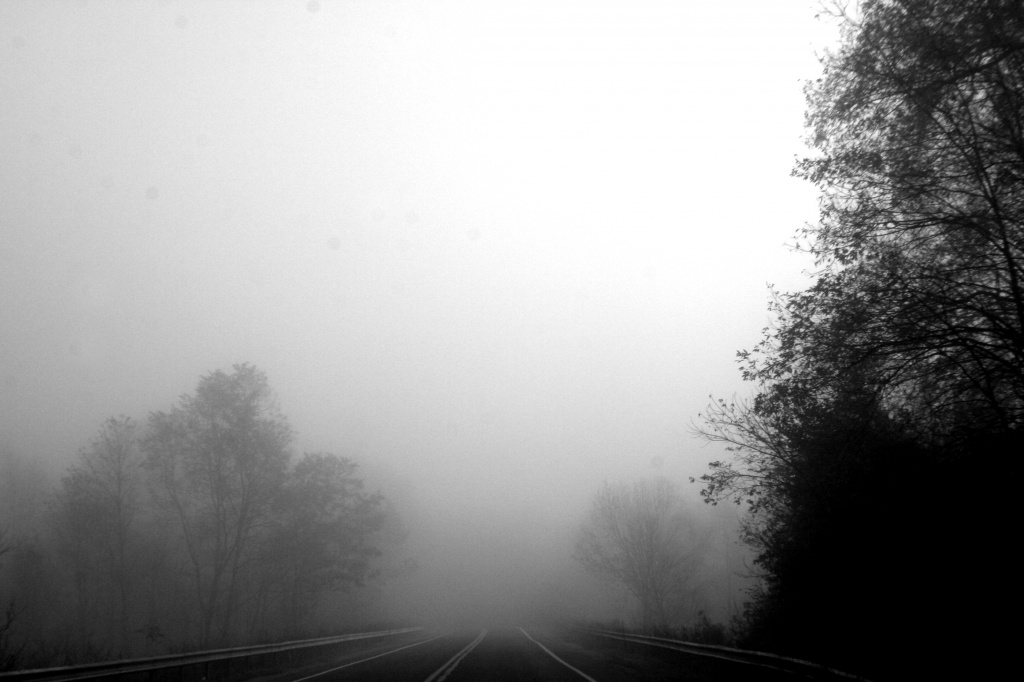 A Lazy Foggy Morning by digitalrn