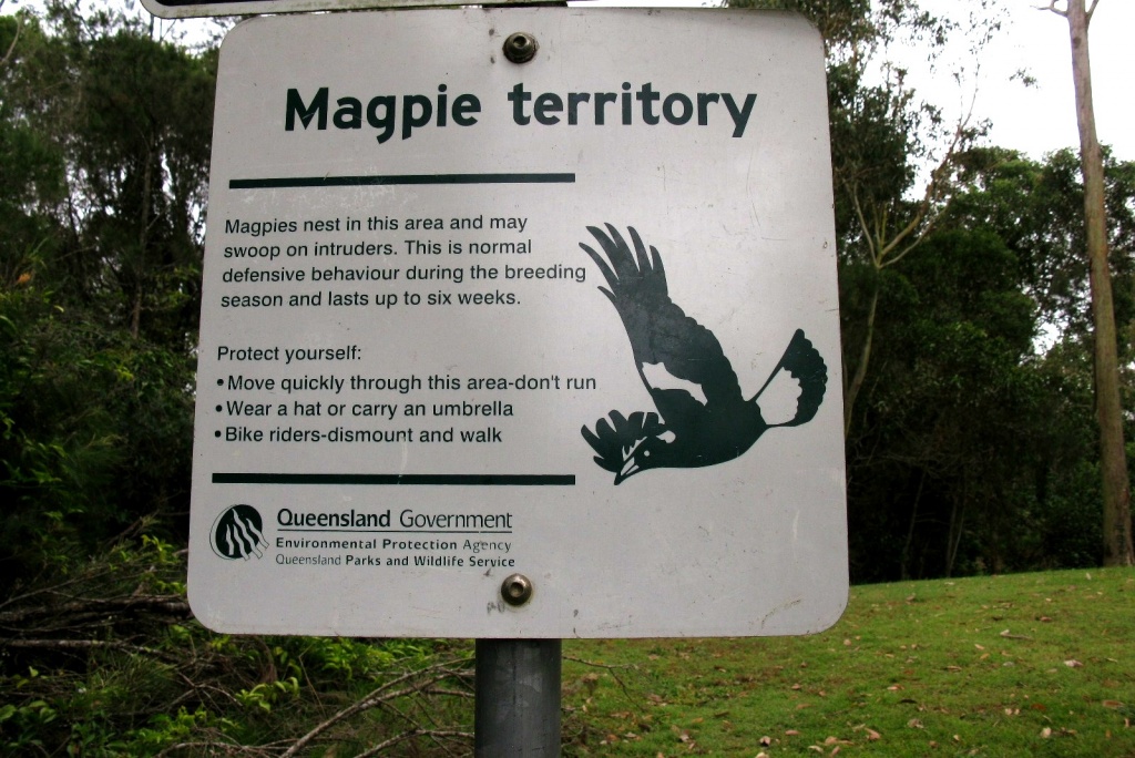 Magpie Territory by loey5150