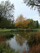 24th Oct 2011 - Autumn reflections