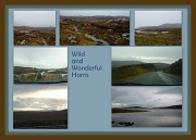24th Oct 2011 - Wild and Wonderful Harris