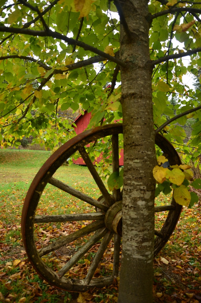 Wagon wheel by dora