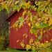 Red farm house by dora