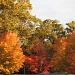 New England autumn by mjmaven