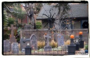 24th Oct 2011 - Graveyard at Daylight