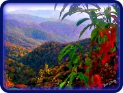 25th Oct 2011 - Fall in the Smoky Mountains