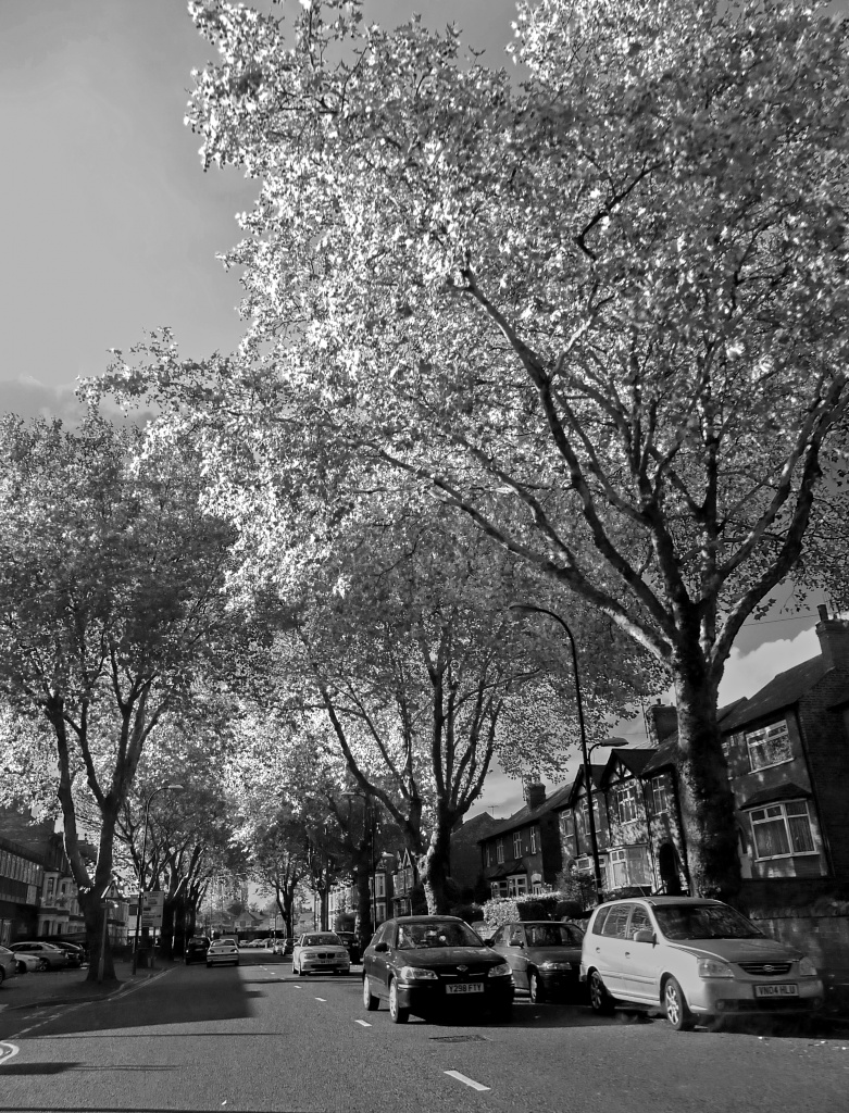 Gregory Boulevard - Nottingham - NG7 by phil_howcroft