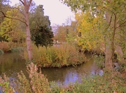 25th Oct 2011 - Riverside Park