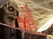 21st Oct 2011 - Zombie Bride