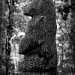 A Bear In The Woods by digitalrn