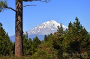 25th Oct 2011 - Mt. Shasta