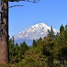 Mt. Shasta by mamabec