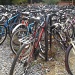 A bevy of bikes by rosbush