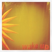 25th Oct 2011 - Wake Up!