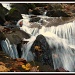Waterfall by olivetreeann