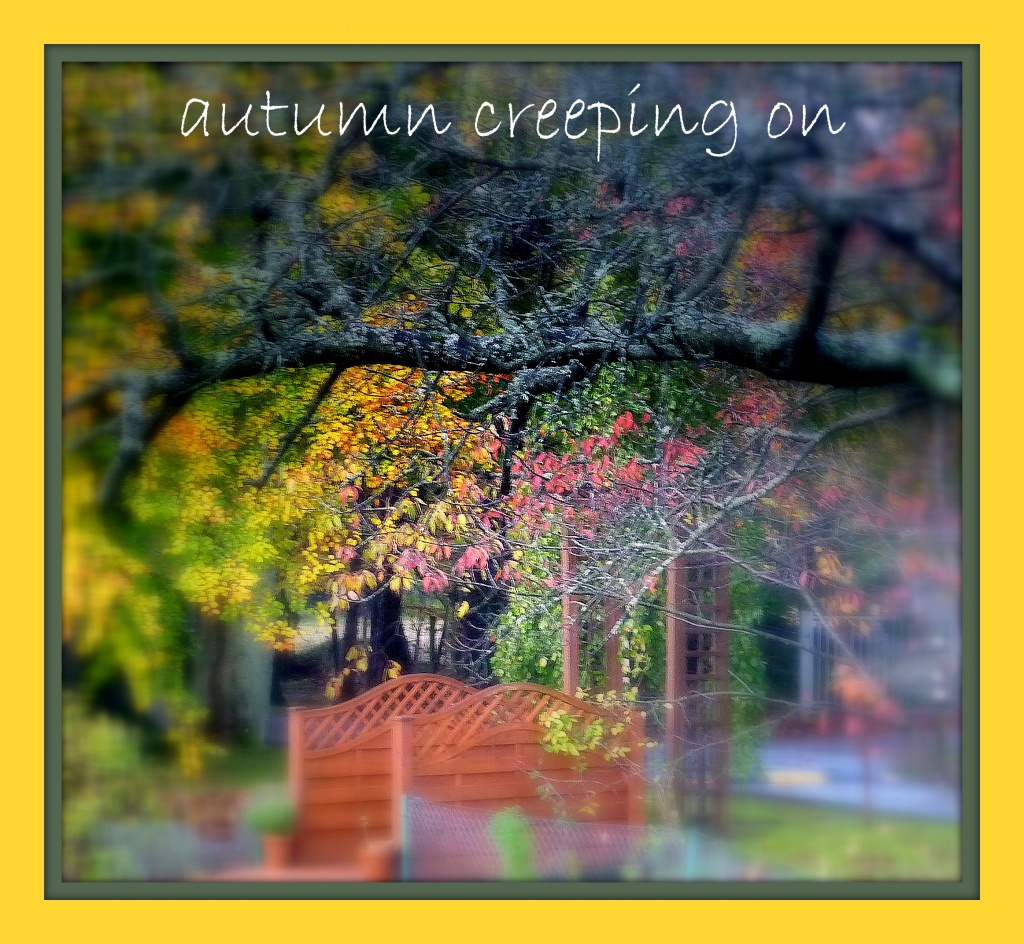 autumn creeping on by sarah19