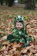 27th Oct 2011 - Happy dragon frolicking in leaves