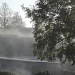 Misty Morning by rosbush