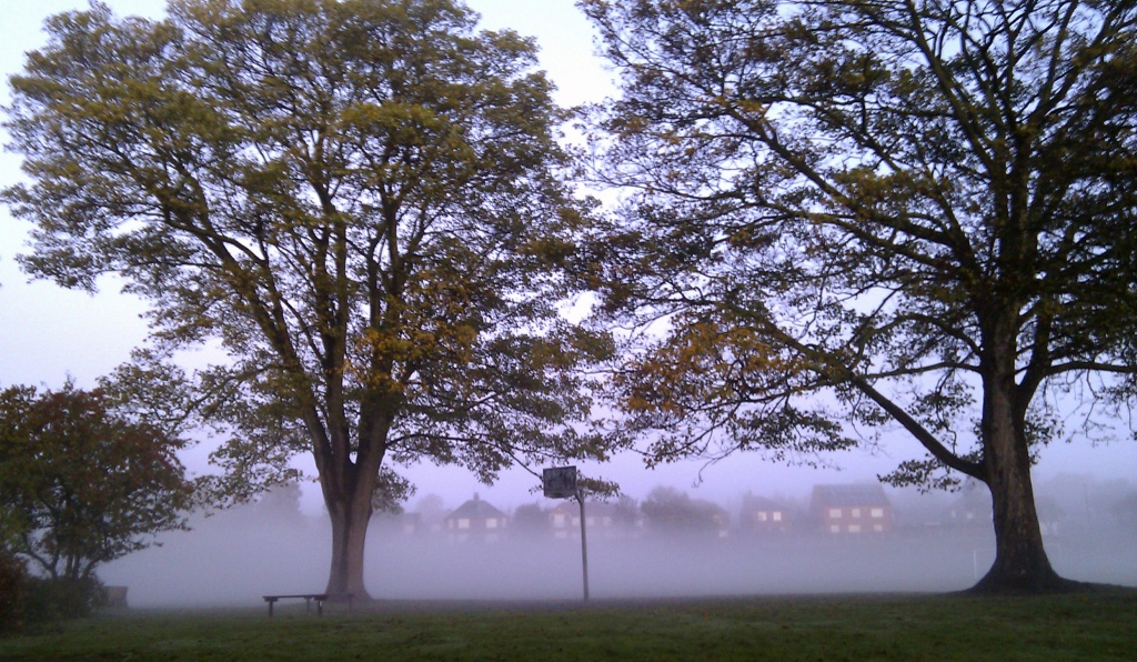 Misty Morning Walk at St. Mary's Park by phil_howcroft