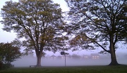 28th Oct 2011 - Misty Morning Walk at St. Mary's Park