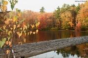 28th Oct 2011 - Supply Pond