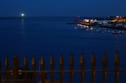28th Oct 2011 - Safe Harbour