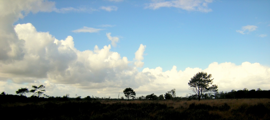 Clouds over heathland by pyrrhula