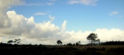 29th Oct 2011 - Clouds over heathland