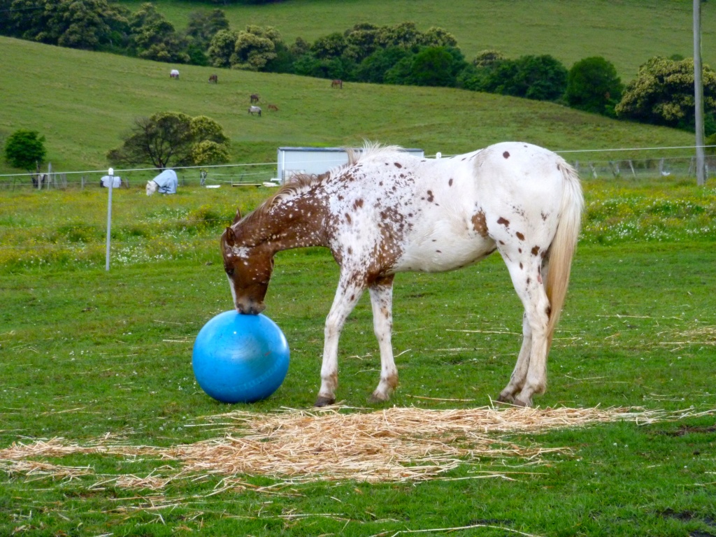 Play ball by peterdegraaff