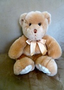 29th Oct 2011 - Teddy Bear
