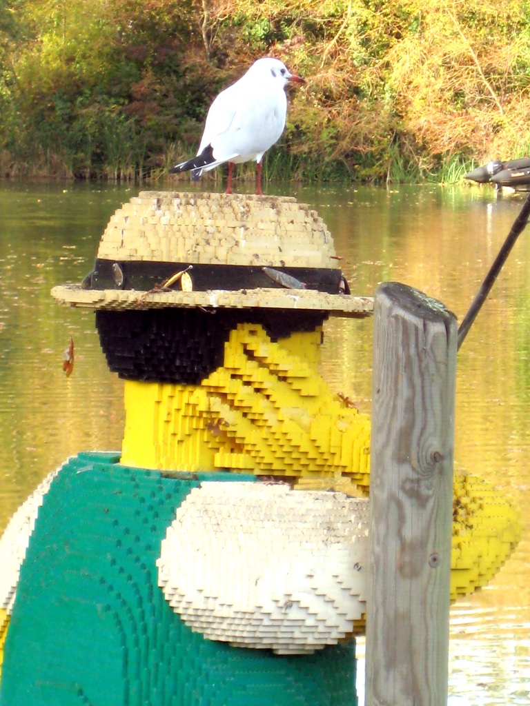 Calling Lego Control.... I have a bird on my head.... by filsie65