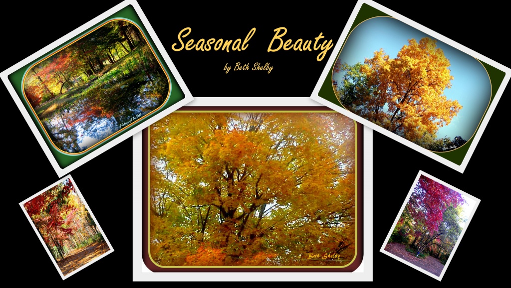 Season Beauty by vernabeth