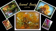30th Oct 2011 - Season Beauty