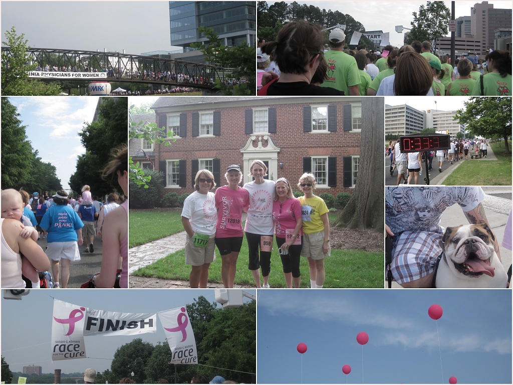 Richmond's Race For the Cure by allie912