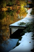 31st Oct 2011 - After The Snow