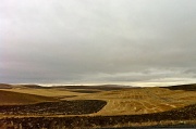 30th Oct 2011 - Fall on the Palouse I