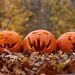 3 little pumpkins by kiwichick