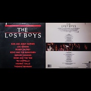 31st Oct 2011 - The Lost Boys - Vinyl
