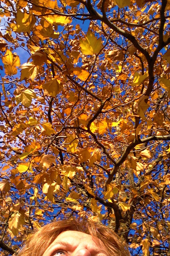 Autumn sky by haagjes